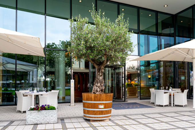Hotel Stadt Freiburg
